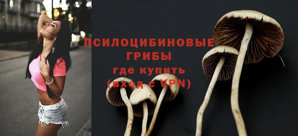 спайс Армянск
