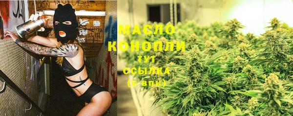 стаф Вяземский